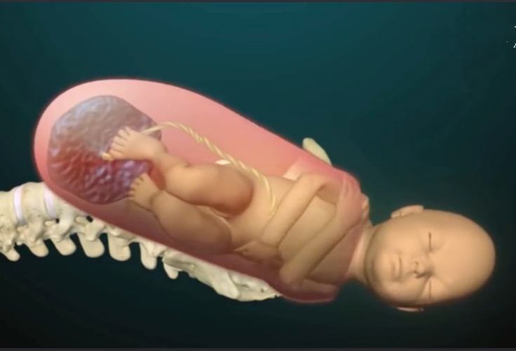 胎儿头大身体正常是怎么回事啊