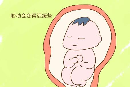 胎儿急性缺氧时胎动