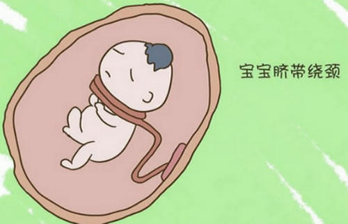 孕晚期胎儿怎么动是儿子