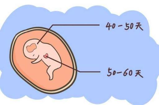 导致胎儿慢性缺氧的原因是什么
