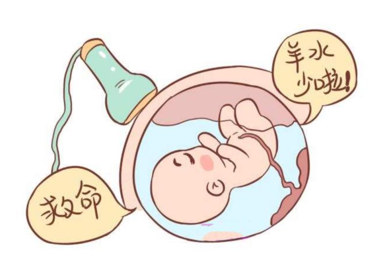 胎儿动多久是缺氧(胎儿动多久会休息)