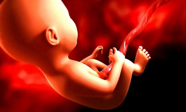 孕妇肚中胎儿的活动(胎儿的活动时间)